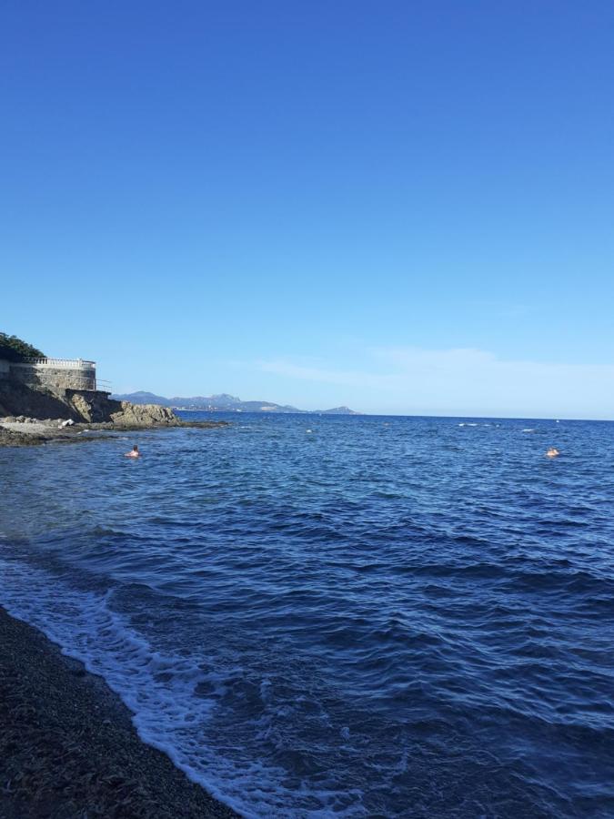 T2 Bord De Mer Avec Jardin Et Piscine 圣艾格夫 外观 照片