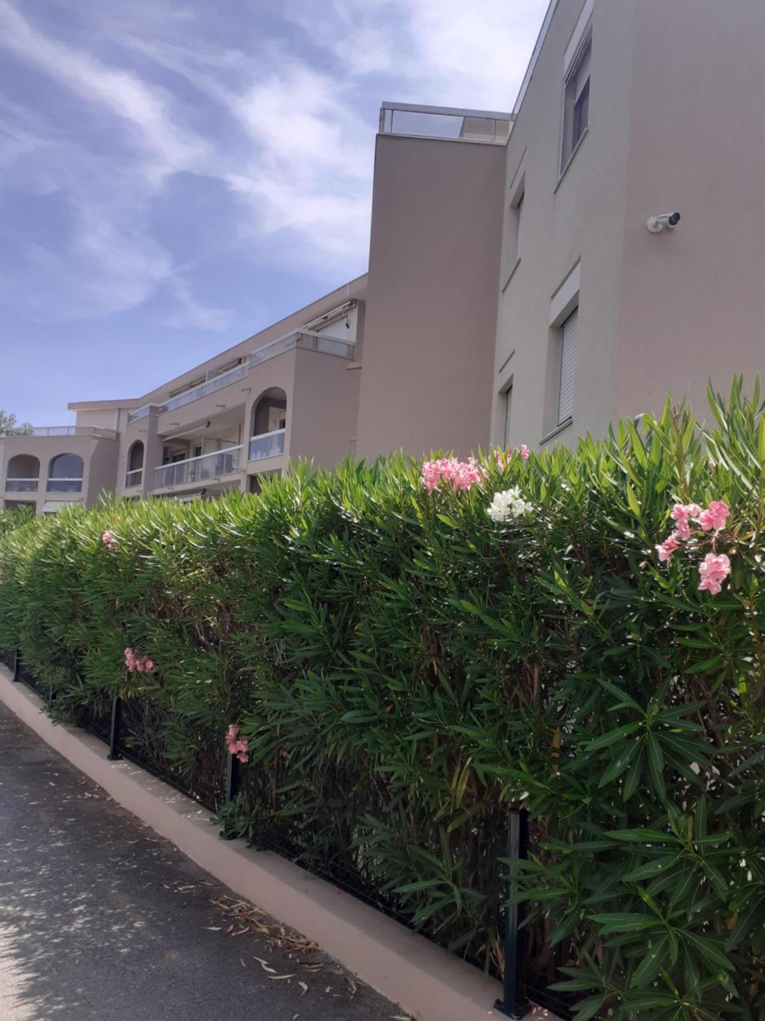T2 Bord De Mer Avec Jardin Et Piscine 圣艾格夫 外观 照片